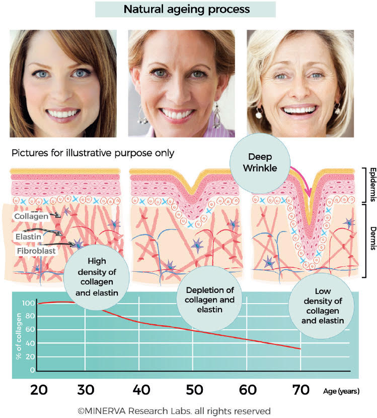 collagen natural aging